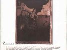 Pixies / SURFER ROSA (LP) / CAD803 / 05839281 / 12 Inch LP