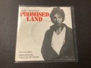 BRUCE SPRINGSTEEN .. * IRISH * Promised Land 7”  .. Ireland only PS .. Withdrawn