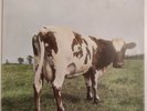 Pink Floyd Atom Heart Mother 1st 1970 Harvest Vinyl SHVL 781