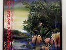 FLEETWOOD MAC TANGO IN THE NIGHT WARNER P-13490 JAPAN OBI PROMO INSERT VINYL LP