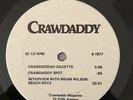 Brian Wilson - Crawdaddy Magazine Interview LP - Promo - Beach Boys - 1977
