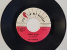 RARE The Knights - Moon Beam / Lonely by the Sea 1965 Red Feather Surf 45