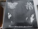 Drowning The Light / Lone Suffer - Autumn Winds Enfold A Sea Of Despair (10