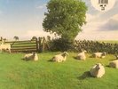 KLF Chill Out LP NEW VINYL KLF Communications repress The Orb Mixmaster Morris