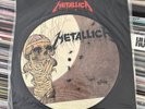 METALLICA One / Seek And Destroy (live) 10
