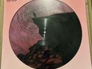 ROGER TAYLOR - OUTSIDER PICTURE DISC LP VINYL RECORD LTD NUMBERED EDT 2000 QUEEN