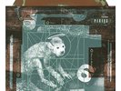 Pixies Doolittle Bronze Green Colour Vinyl LP Exclusive Newbury Comics Limited