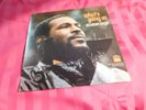 Marvin Gaye   What's Going on - TAMLA # TS-310 - from 1971 - Near Mint - WOW