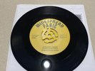 Widespread Panic Coconut Image 7” Vinyl Single  Reissue