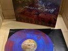 Poison The Well ‎”The Opposite Of December | Tear From The Red” 2LP Vinyl - USED