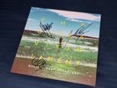 Manic Street Preachers - The Ultra Vivid Lament SIGNED/AUTOGRAPHED Vinyl/Record