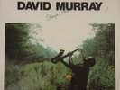 David Murray Deep River (DIW Japan issue)