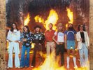 Lynyrd Skynyrd – Street Survivors - LP - 1977 First Press / Flames Gatefold - VG