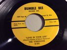 TORNADOS-BUMBLE BEE 503-LOVE IN YOUR LIFE/GENI IN THE JUG-DETROIT DOO-WOP 45 '59
