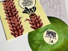 The Story So Far UNDER SOIL & DIRT Color Vinyl LP Record NEW
