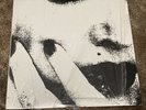 Ciccone Youth The Whitey Album Vinyl Record LP sonic youth Goo-09 Goofin 2006