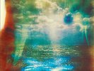 The Horrors : Skying Vinyl 12