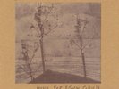 MUSIC FOR EGON SCHIELE