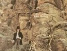 DAVE MASON - Alone Together  Lp - 1970 Blue Thumb BTS 19 1ST MARBLED LP  - EX