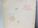 HOLY GRAIL Bob Dylan GREAT WHITE WONDER 2 LP Live etc. The BAND 1970 FOLK Scarce