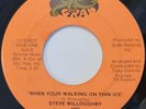 Steve Willoughby - When Your Walking on Thin Ice / See Unknown? Rock 45 LISTEN