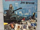 Joe Walsh - There Goes The Neighborhood - 12