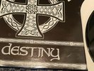 DESTINY LP 1ST PRESS 1990 RARE  Oi REBELLES ROR ROCK O RAMA ISD