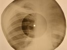 Van Morrison - Moondance X-RAY BONES RECORDS USSR 252