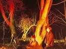 ECHO & THE BUNNYMEN : CROCODILES : REMASTERED 180 GRAM VINYL LP NEW & SEALED