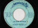 Funk/Sweet Soul 45 - First Family - Slow Down - Washington - mp3