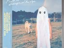 Phoebe Bridgers - Stranger In The Alps GALAXY COLORED Vinyl LP 5th Anniversary