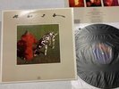 RUSH Signals 1st PRESS Hauppauge 53 NO BARCODE MINTY  Ultrasonic/VPI