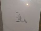 Jose Gonzalez In Our Nature Vinyl LP New Sealed