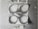 SATIN WHALE Desert Places LP 1970s German Heavy Prog LP Orig. Brain—green label