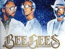 Bee Gees – Timeless (The All-Time Greatest Hits) VINYL 2LP NEW & SEALED