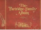 The Partridge Family          6-LP's          NM or as described