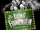 Mel Brooks - Young Frankenstein (Original London Cast Recording) [New Vinyl LP]