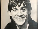 VINYL IGGY POP Lust For Life RCA VICTOR PL 12488 UK ORIGINAL LP 1977