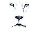 White Lion Pride  (Vinyl)  12
