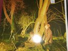 vinyl records-Echo And The Bunnymen - Crocodiles- Original 1980 Pressing VG