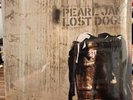 Pearl Jam Lost Dogs Vinyl LP Import