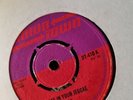 REGGAE IN YOUR JEGGAE / DANDY 7