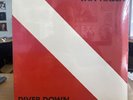 VAN HALEN VERY RARE SEALED LP DIVER DOWN 1982 USA 1stPRESS NOT A 180g ALBUM