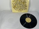 MAC DEMARCO: THIS OLD DOG VINYL RECORD ALBUM LP | 2017; RMR-060; ROYAL MOUNTAIN