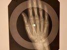 Elvis Presley - Wheels On My Heels X-RAY HAND BONES RECORDS USSR 221