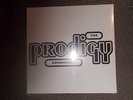 The Prodigy - Experience    VINYL  2LPs   NEU  (2008)