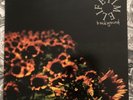Lifetime Background LP, Kid dynamite
