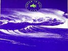 Midnight Oil Scream In Blue - Live Columbia Vinyl LP