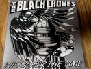 The Black Crowes 