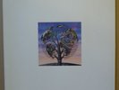 TALK TALK Laughing Stock LP VERVE 1991 EU orig+inner 847 717-1 MARK HOLLIS